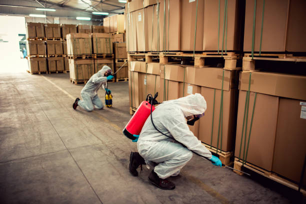 Best Emergency Pest Control  in Gresham Park, GA