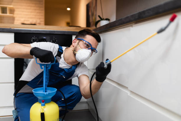 Best Exterminator Services  in Gresham Park, GA