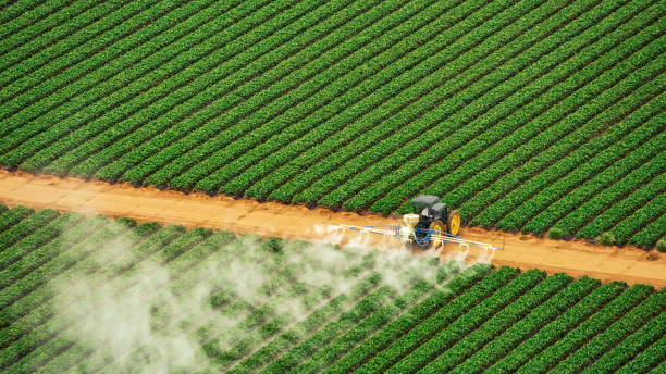 Best Pest Control Treatment  in Gresham Park, GA