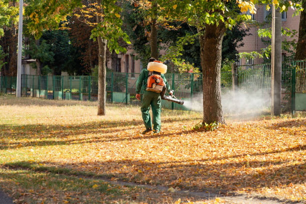 Best Commercial Pest Control Services  in Gresham Park, GA