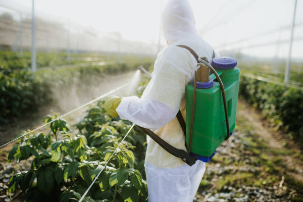 Best Mosquito Control Services  in Gresham Park, GA